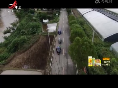 新闻晚高峰20220622