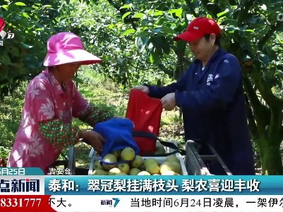 泰和：翠冠梨挂满枝头 梨农喜迎丰收