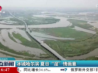 冰城哈尔滨 夏日“湿”情画意