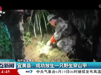 宜黄县：成功放生一只野生穿山甲