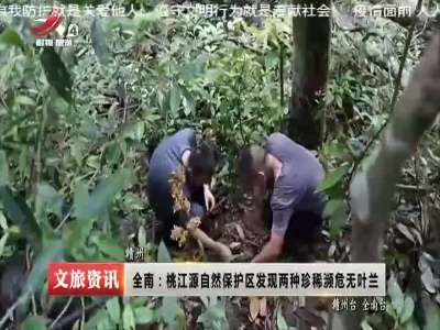 全南：桃江源自然保护区发现两种珍稀濒危无叶兰