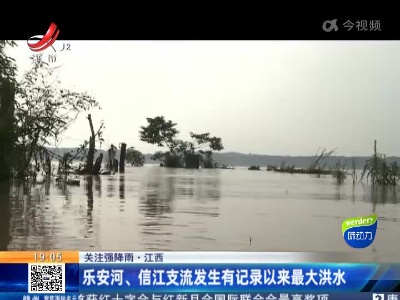 【关注强降雨】江西：乐安河、信江支流发生有记录以来最大洪水
