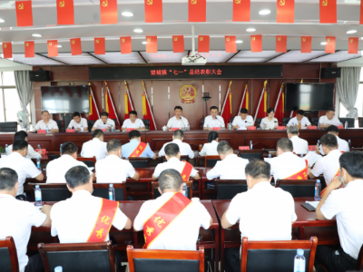 南昌市望城镇召开“七一”总结表彰大会