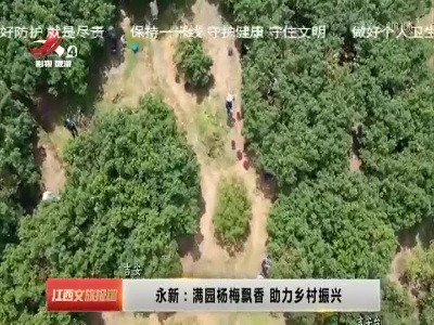 永新：满园杨梅飘香 助力乡村振兴