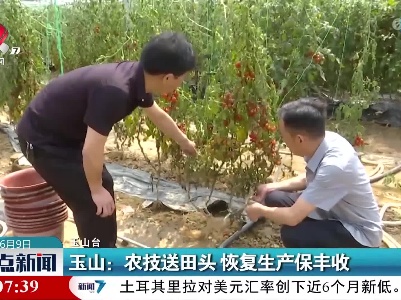 玉山：农技送田头 恢复生产保丰收