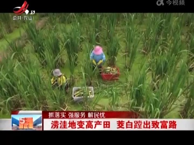 【抓落实 强服务 解民忧】种田怕害虫 科技来助力