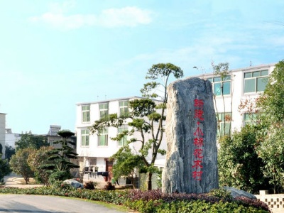 党建引领乡村振兴