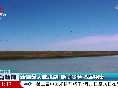 新疆最大咸水湖 绝美景色鸥鸟翔集