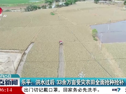 乐平：洪水过后 33余万亩受灾农田全面抢种抢补