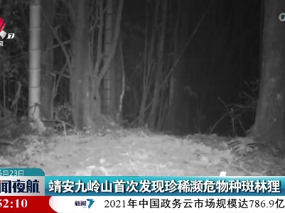 靖安九岭山首次发现珍稀濒危物种斑林狸