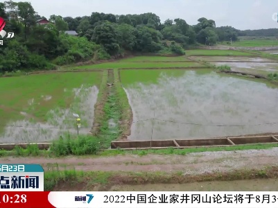 整点新闻20220623 12:00