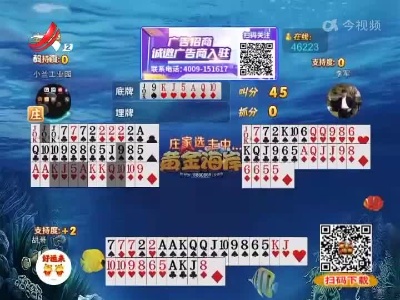 谁是赢家20220628