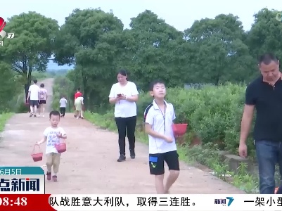 新余：端午假期近郊游 果园采摘正当时