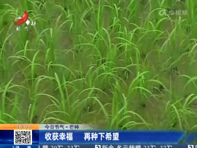 【今日节气·芒种】收获幸福 再种下希望