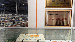 江西信丰：脐橙撬动大产业，老区走上致富路