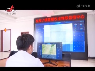 稻花香里20220624 乡村振兴进行时——花果山的科技范儿