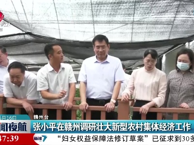 张小平在赣州调研壮大新型农村集体经济工作