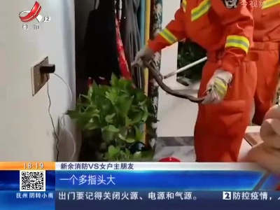 新余：家中惊现眼镜蛇 女主人吓哭了