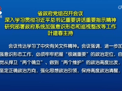 省政府党组召开会议 深入学习贯彻习近平总书记重要讲话重要指示精神 研究部署政府系统加强意识形态和巡视整改等工作 叶建春主持