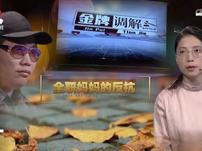 金牌调解20220613 全职妈妈的反抗