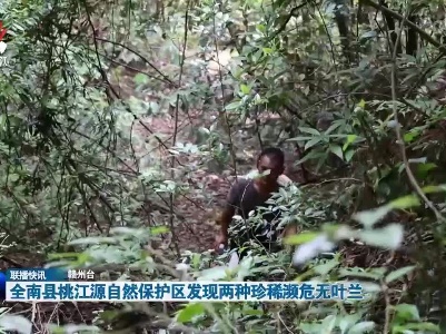 全南县桃江源自然保护区发现两种珍稀濒危无叶兰