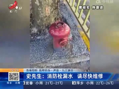 【急难愁盼 我帮你办·声音·九江濂溪】史先生：消防栓漏水 请尽快维修