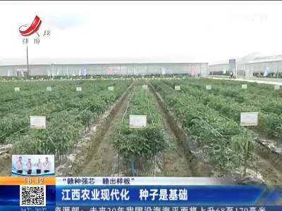【“赣种强芯 赣出样板”】江西农业现代化 种子是基础