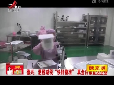 德兴：退税减税“快好稳准” 真金白银直达企业