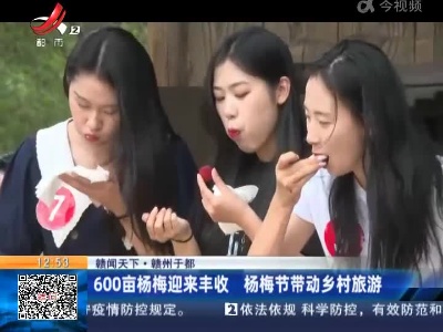 【赣闻天下】赣州于都：600亩杨梅迎来丰收 杨梅节带动乡村旅游
