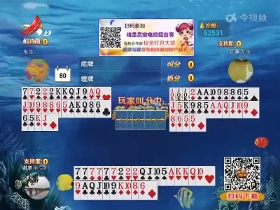 谁是赢家20220624