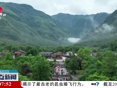 整点新闻20220605 12:00