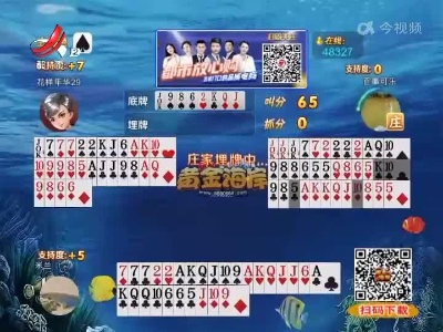 谁是赢家20220619