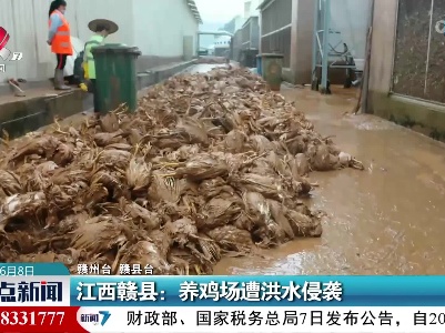 江西赣县：养鸡场遭洪水侵袭