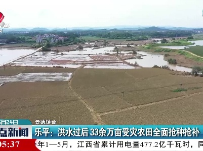 乐平：洪水过后 33余万亩受灾农田全面抢种抢补