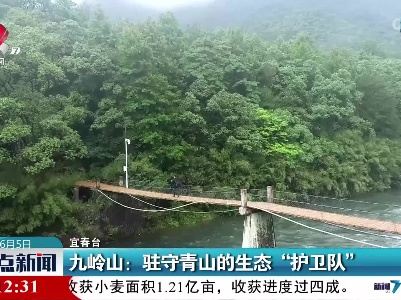 九岭山：驻守青山的生态“护卫队”