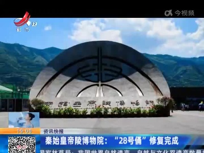 秦始皇帝陵博物院：“28号俑”修复完成