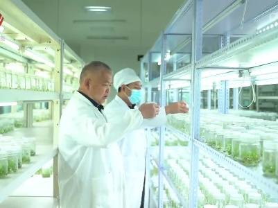 江西：强化攻关 增强选育 全方位推动种业创新