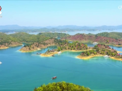 发展森林康养 打造一流康养旅游目的地