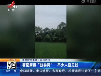 【夏季蚊虫来袭】四川泸州：密密麻麻“蚊卷风” 不少人没见过