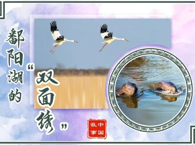 中国故事｜鄱阳湖的“双面绣”