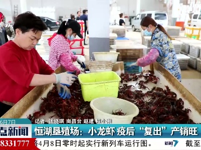恒湖垦殖场：小龙虾 疫后“复出”产销旺