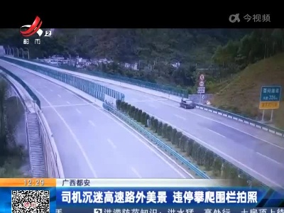 广西都安：司机沉迷高速路外美景 违停攀爬围栏拍照