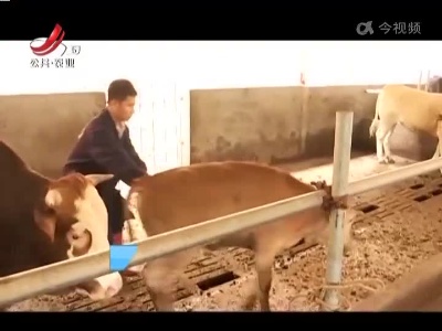 稻花香里20220603 乡村振兴进行时——乐安小伙很牛气