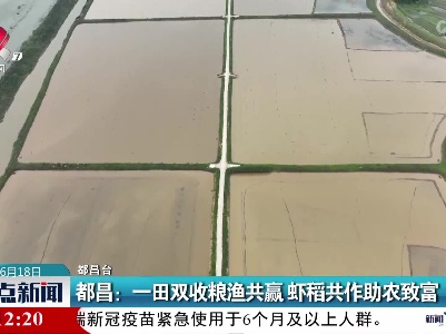 都昌：一田双收粮渔共赢 虾稻共作助农致富