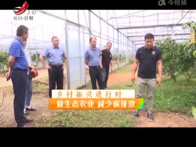 稻花香里20220615 乡村振兴进行时——做生态农业 减少碳排放