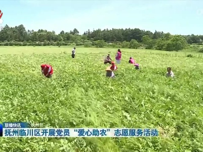 抚州临川区开展党员“爱心助农”志愿服务活动