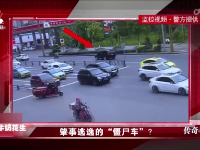 传奇故事20220623 肇事逃逸的“僵尸车”