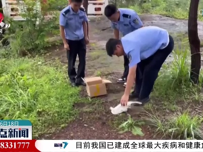 会昌：河边现落单白鹭 警民热心救助