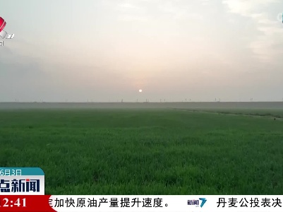 整点新闻20220603 10:00