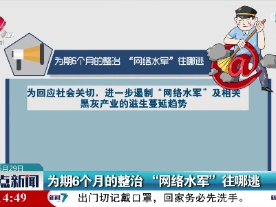 为期6个月的整治“网络水军”往哪逃